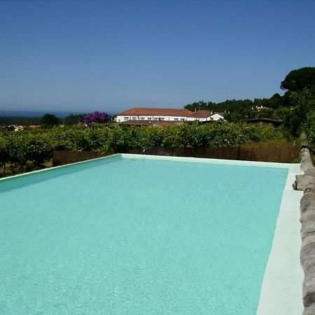 Quinta Do Paco D'Anha Guest House Viana do Castelo Ngoại thất bức ảnh